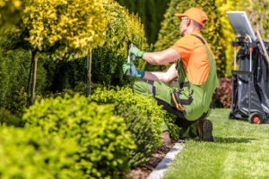 Adelaide gardening services	