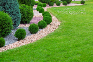 artificial grass Adelaide