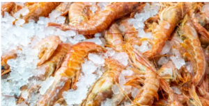 Shore Mariner frozen prawns