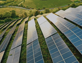 Tindo solar panels