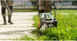 lawn mowing