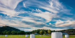 UV-resistant silage wrap